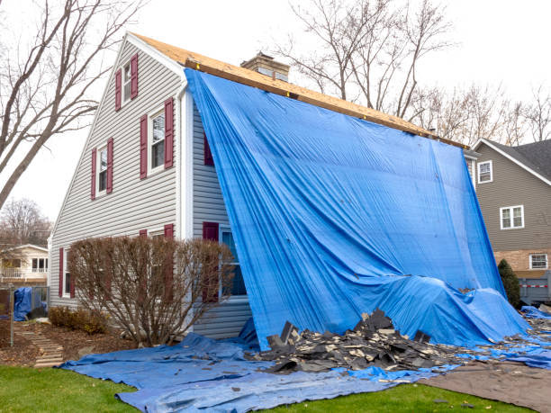 Best Brick Veneer Siding  in Ddanelle, AR